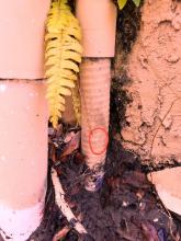  star plumbing services toilet repair 