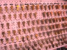 Astro Locks Astro Locks