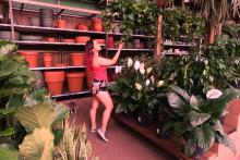 ace hardware ace hardware