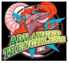 advanced trenchless leak detection 