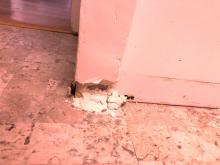 cj plumbing leak detection 