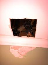 dittmann plumbing drain cleaning 