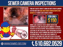 dumb clogs sewer drain toilet repair 