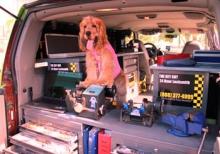emergency locksmith   door service car unlocking 