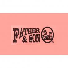 father son affordable sewer drain sewer services 