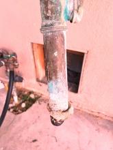 guardian plumbing drain cleaning 