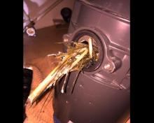 hermosa beach plumbers emergency services 