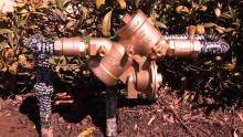 in demand plumbing toilet repair 