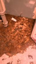 morning noon night plumbing sewer services water heater installation 