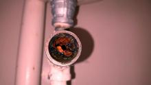 pme drains  plumbing 