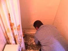 pride plumbing garbage disposal repair 