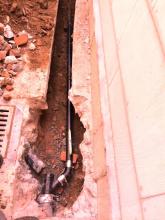 sugar bear plumbing 