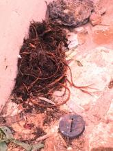 sunset west plumbing rooter garbage disposal repair 
