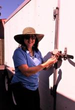 the lock lady mailbox services 