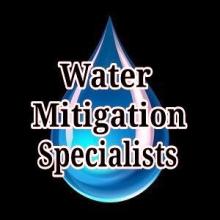 water mitigation specialists leak detection 