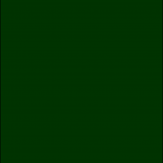 Plant City Lock & Key