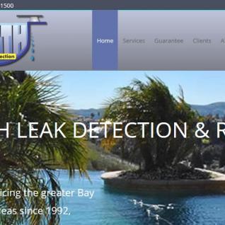 In-Depth Leak Detection