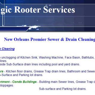 Magic Rooter Services
