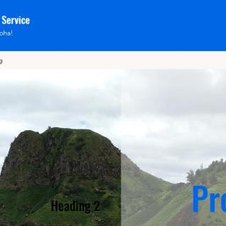 Pro Island Drain Cleaning & Service