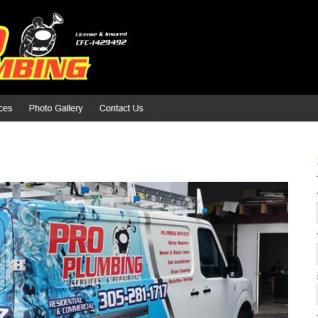 Pro Plumbing Service and Repair