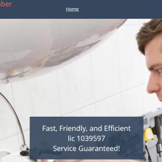 Remedy Plumber